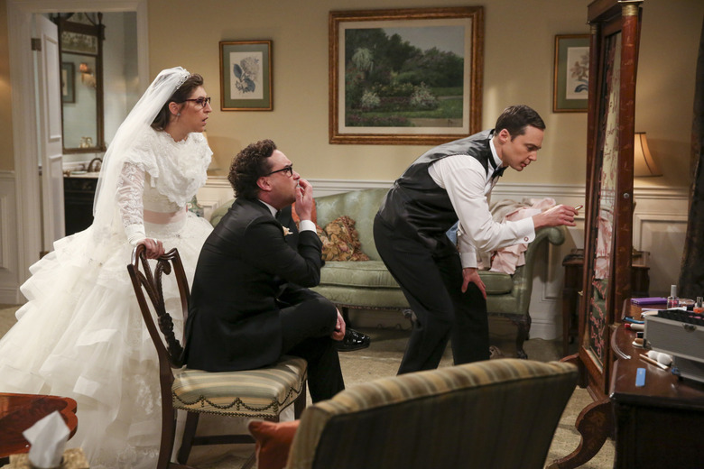 The Big Bang Theory Sheldon Amy Wedding