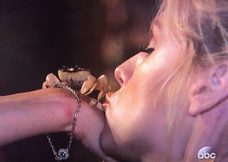 BACHELOR-IN-PARADISE