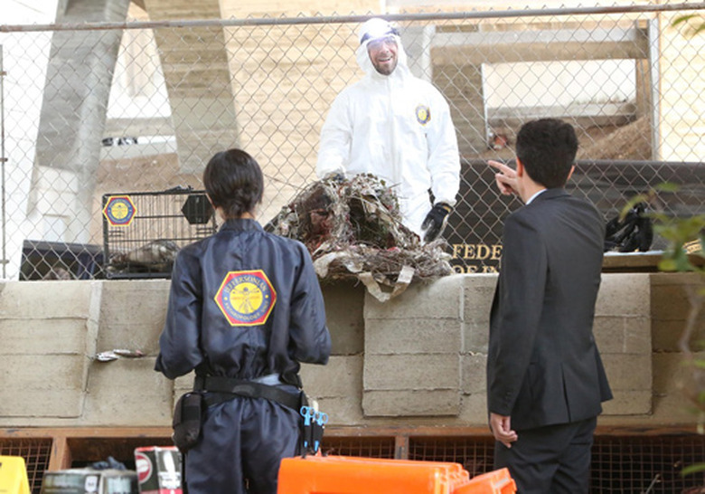 bones-1003-5