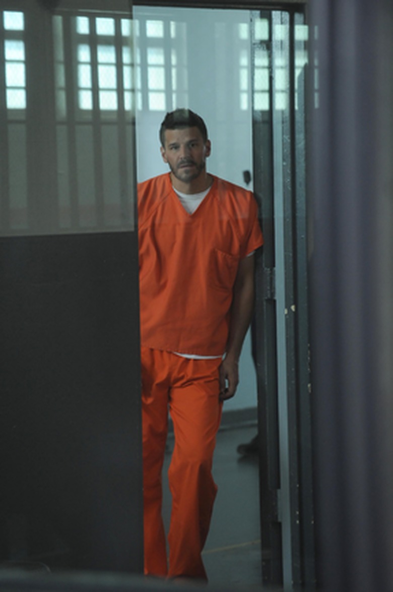 bones-season-10-photos (11)