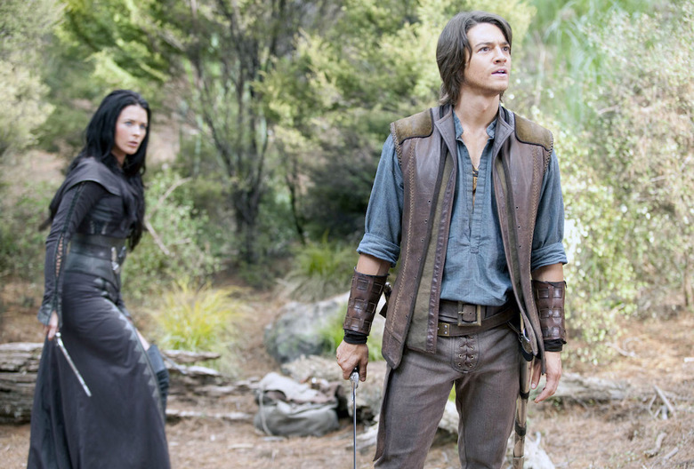 Legend of the Seeker Syndicated