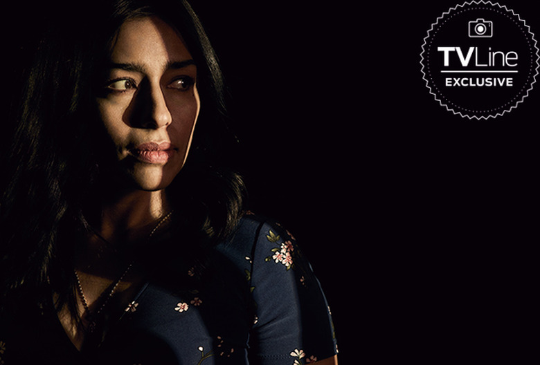 Coyote Season 1 Photos Portraits Michael Chiklis