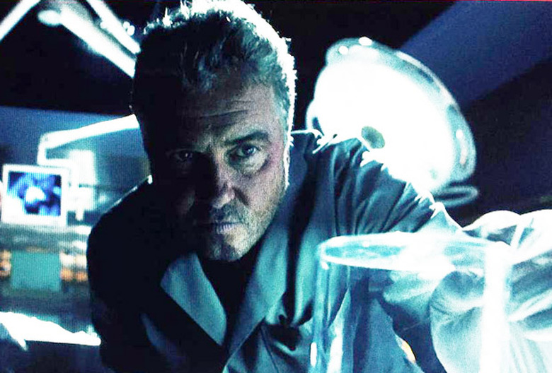 CSI Series Finale Photos