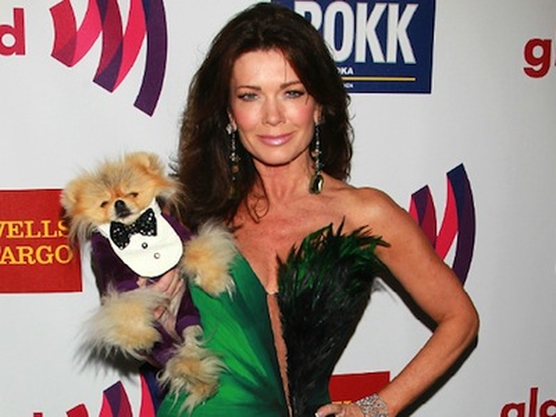 Dancing With the Stars Cast