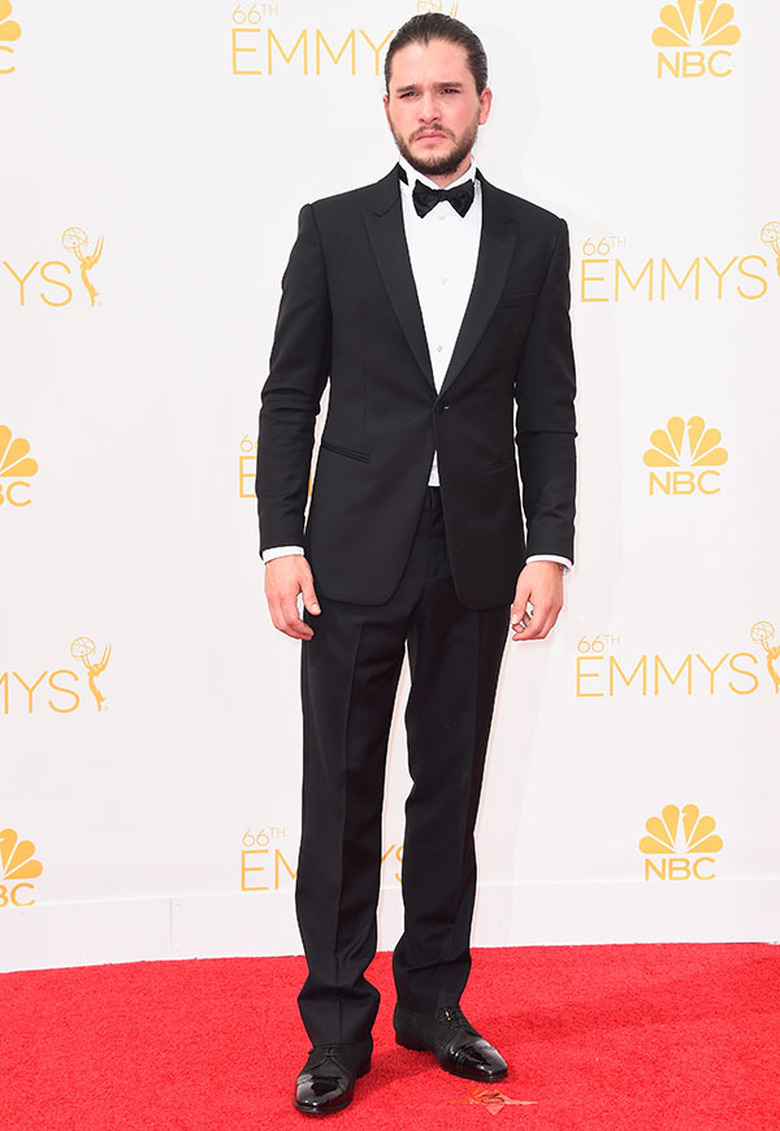Emmys Red Carpet 2014