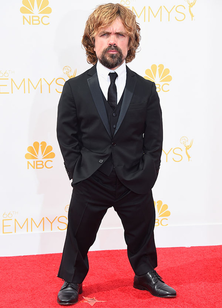 Emmys Red Carpet 2014