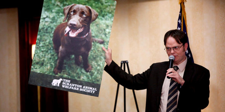 The Office Rainn Wilson