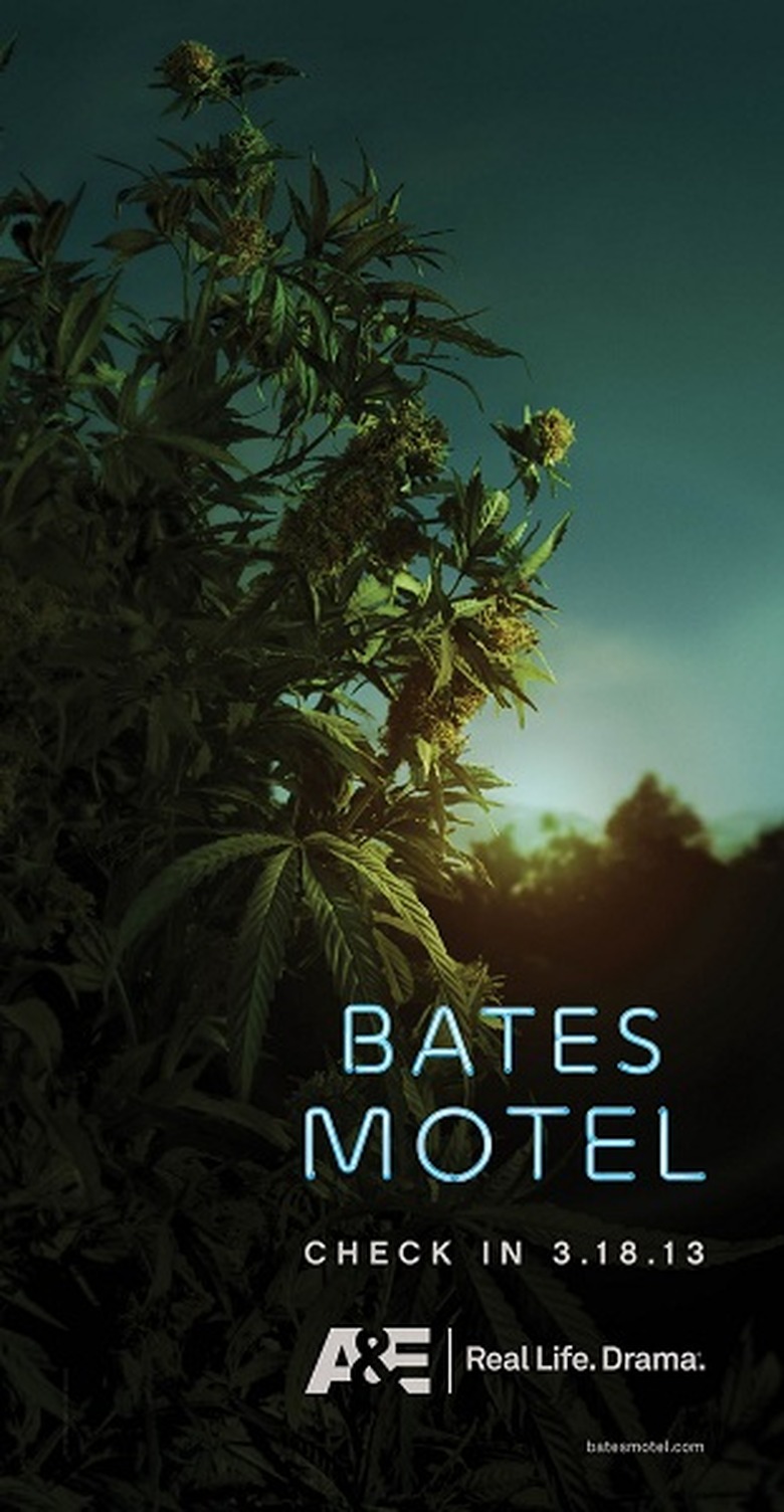 Bates_Tease_Plant