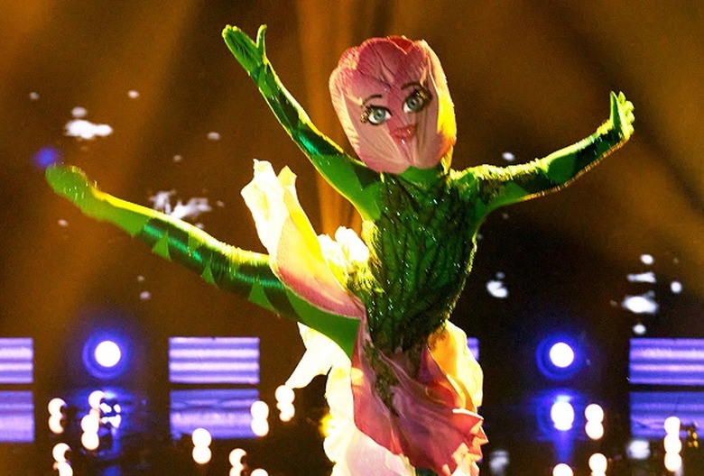 New Fall Shows The Masked Dancer