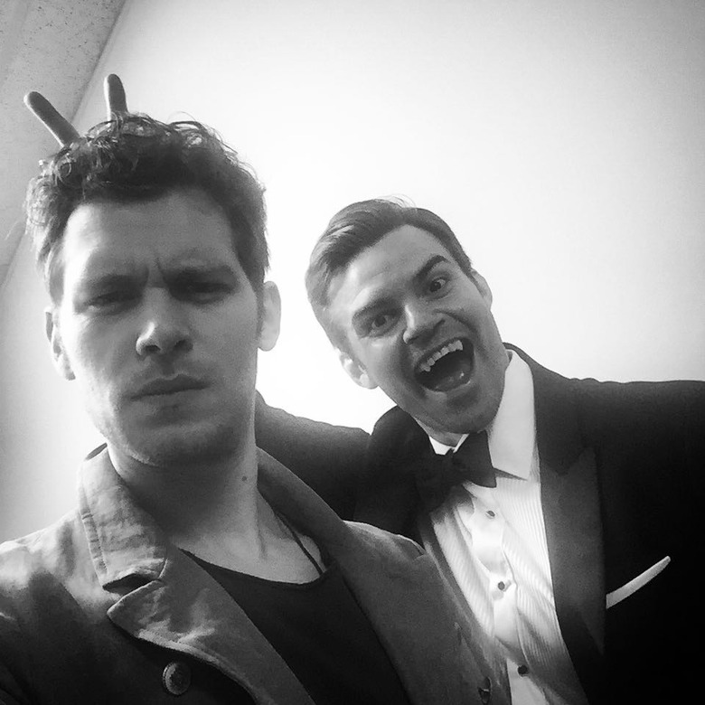 the-originals-season 3 (4)