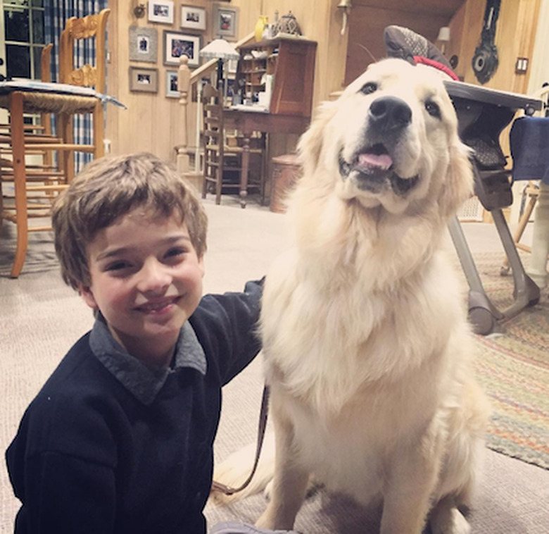 fuller-house-season-2