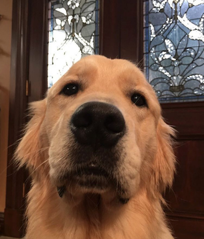 fuller-house-season-2