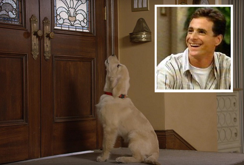 fuller-house-trailer-9-ted-mosby