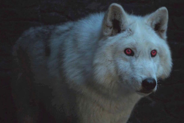 Game of Thrones Season 8 Deaths