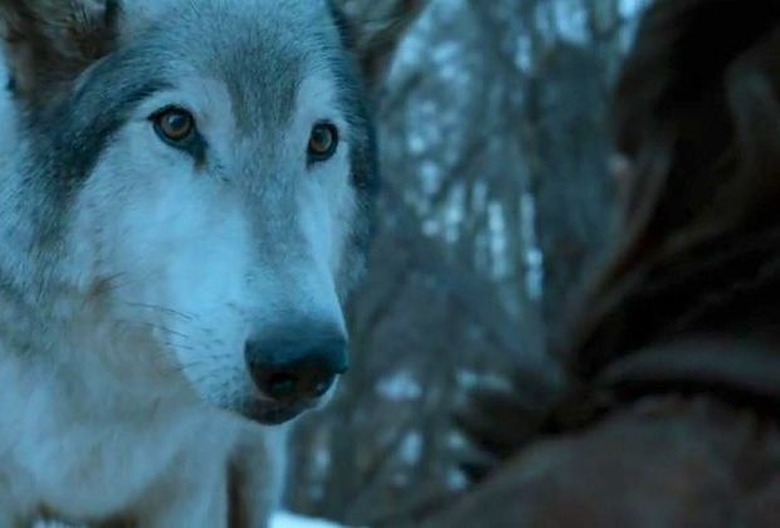 Game of Thrones Season 8 Deaths