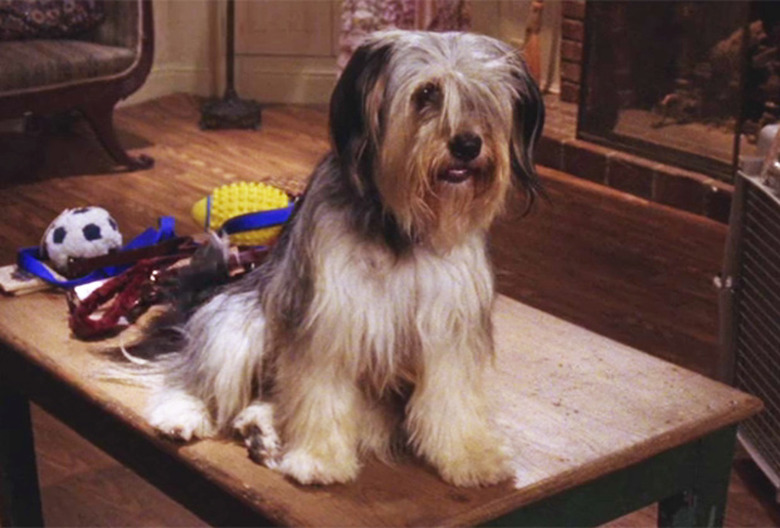 Gilmore Girls Revival Paul Anka