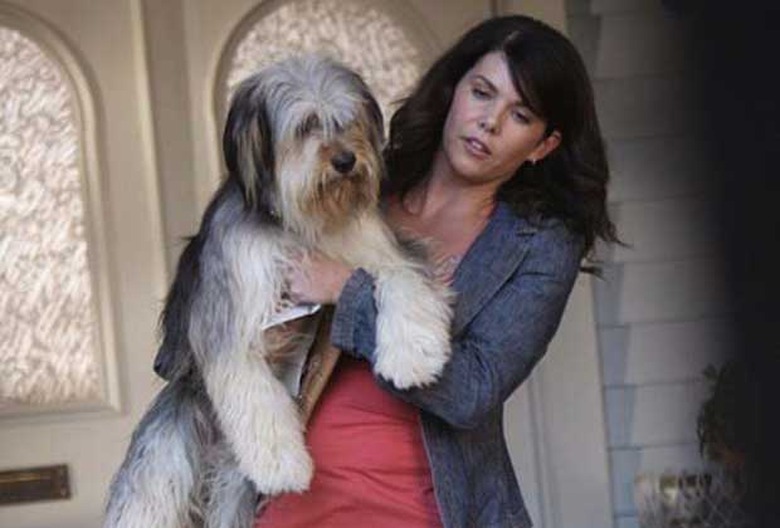 gilmore-girls-revival-returning-cast-members