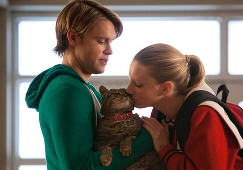 Glee Couples Best Worst