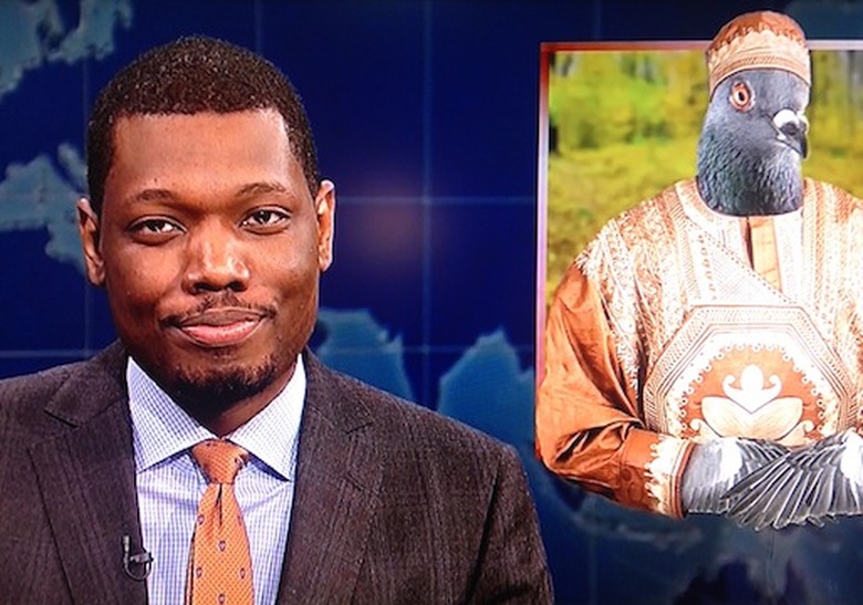 snl-quote-michael-che-african-gray-pigeon