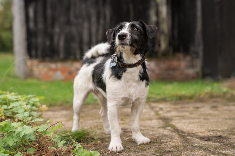 Good Omens Cast Characters Neil Gaiman Amazon Prime