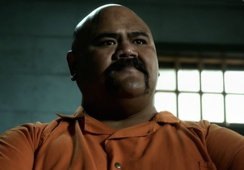 Hawaii Five-0 100th Episode