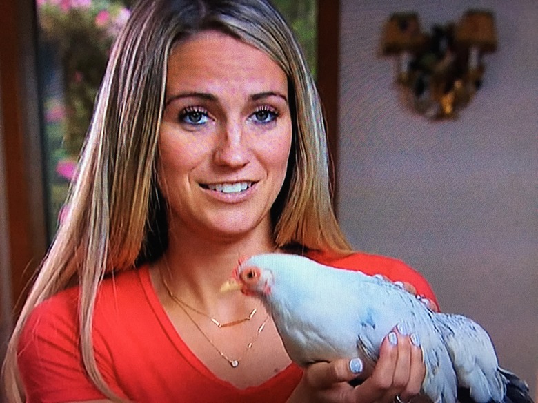 the-bachelor-chicken-or-ben-quote