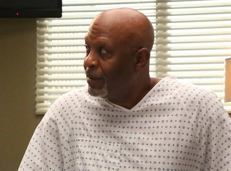 CHANDRA WILSON, JAMES PICKENS JR., DEBBIE ALLEN