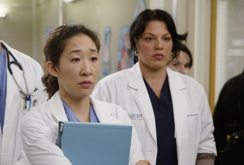 Grey's Anatomy Season 13 Wishes