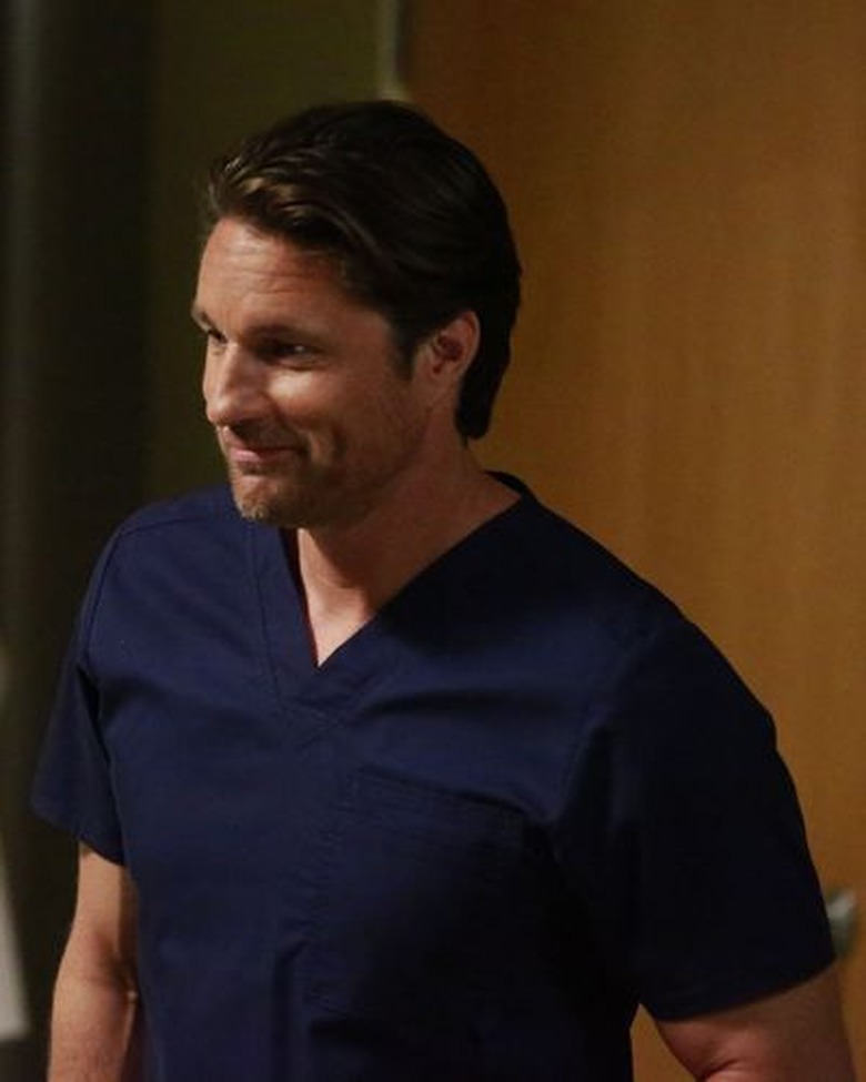 Grey's Anatomy Season 13