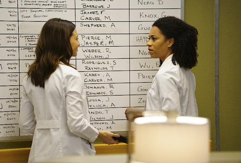 greys anatomy season 13 photos