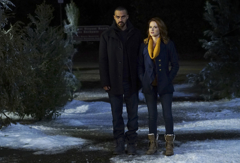 greys anatomy season 13 photos