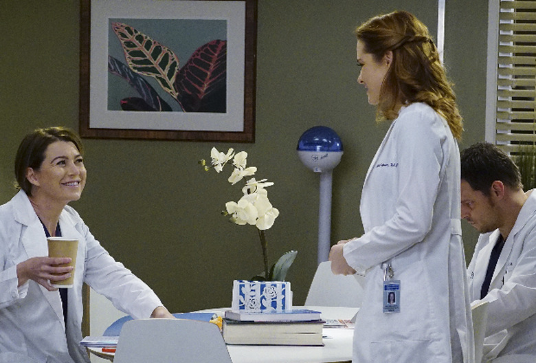greys anatomy season 13 photos