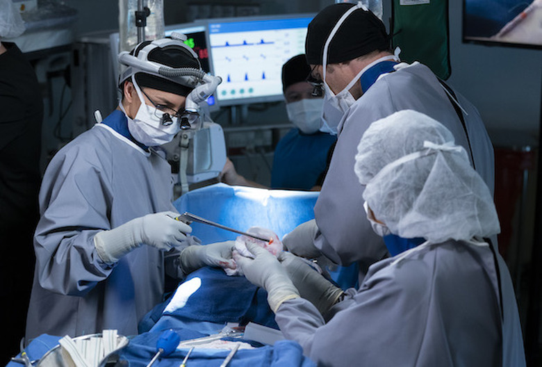 greys anatomy season 15 photos