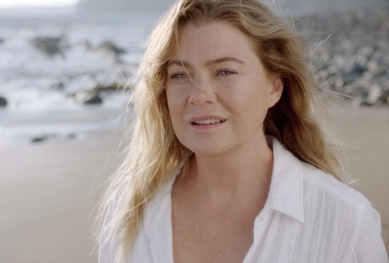 greys anatomy season 17 photos