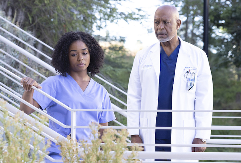 greys anatomy season 19 photos