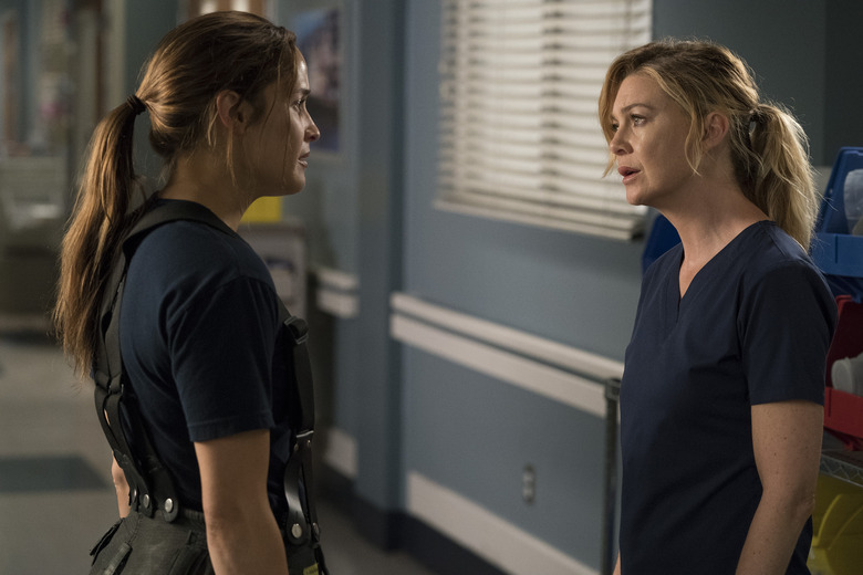 Grey's Anatomy Spinoff Photos