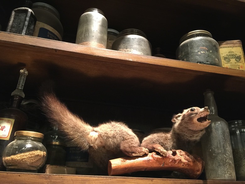 Grimm Photos Behind the Scenes NBC