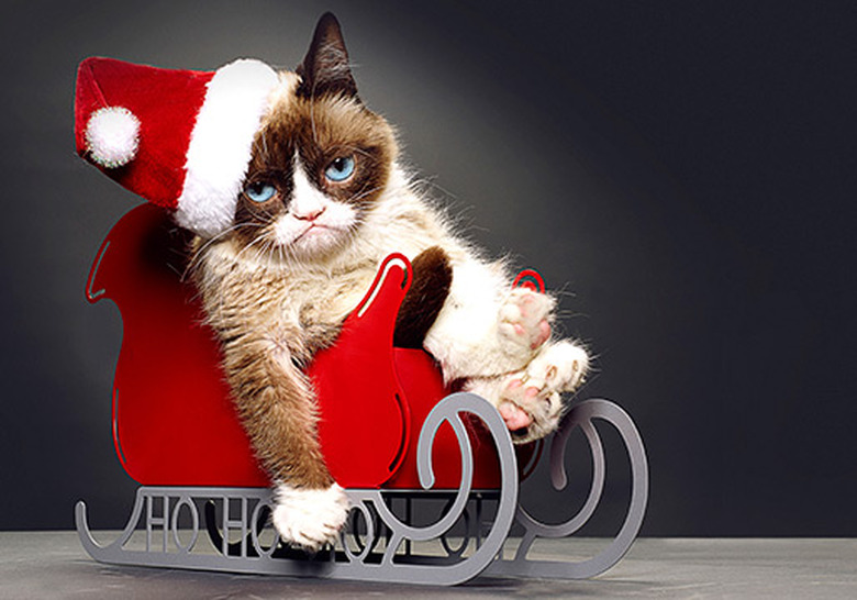 grumpy-cat-movie-02