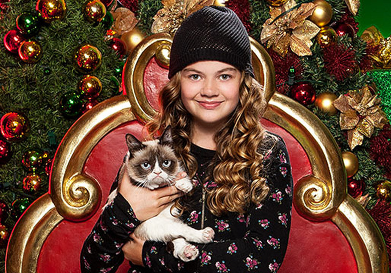 grumpy-cat-movie-11