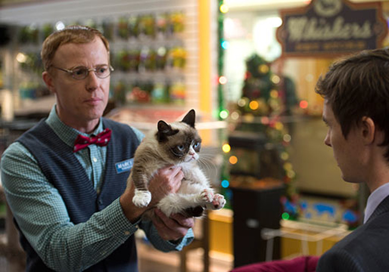 grumpy-cat-movie-15