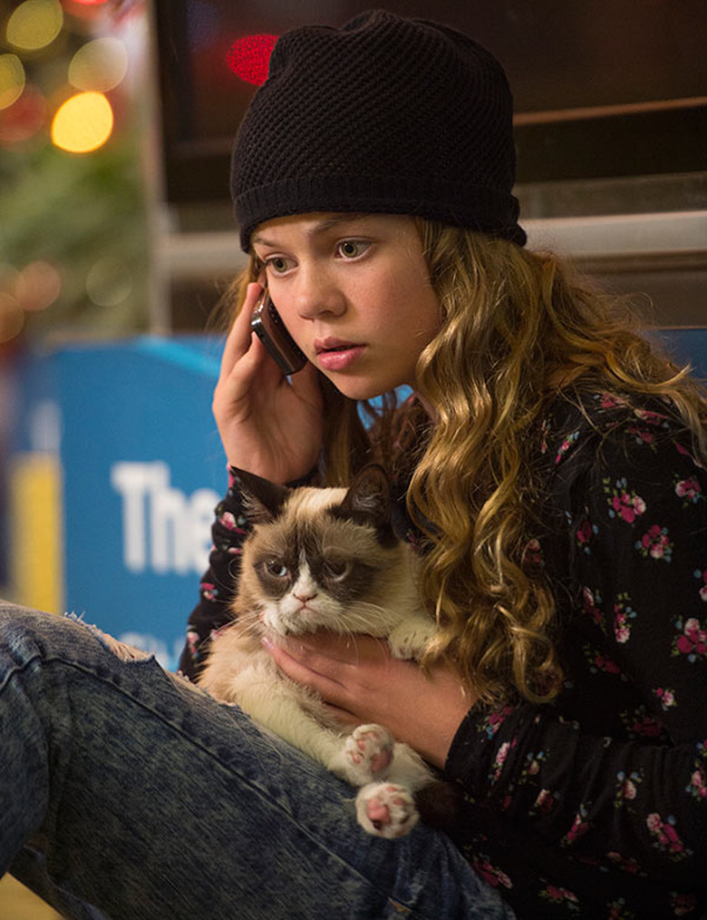 grumpy-cat-movie-17