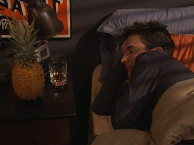 How I Met Your Mother Series Finale Questions