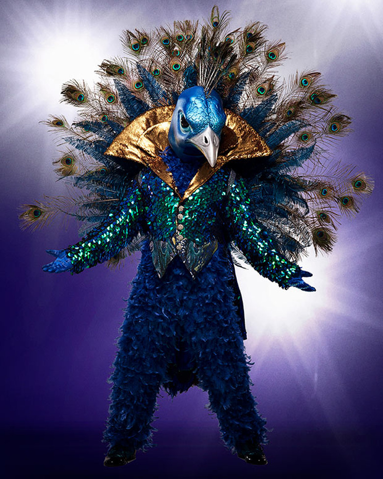 Masked Singer Clues