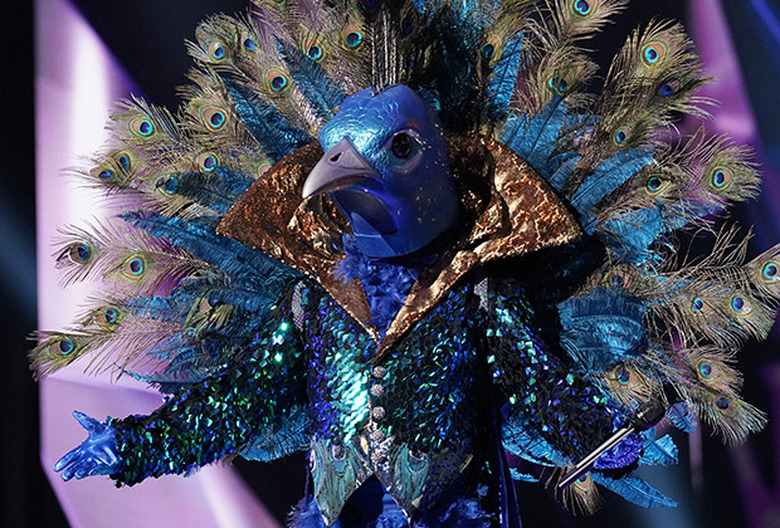 Masked Singer Clues