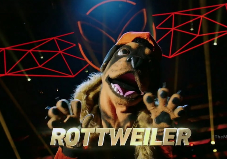 The Masked Singer Season 2 Clues Photos
