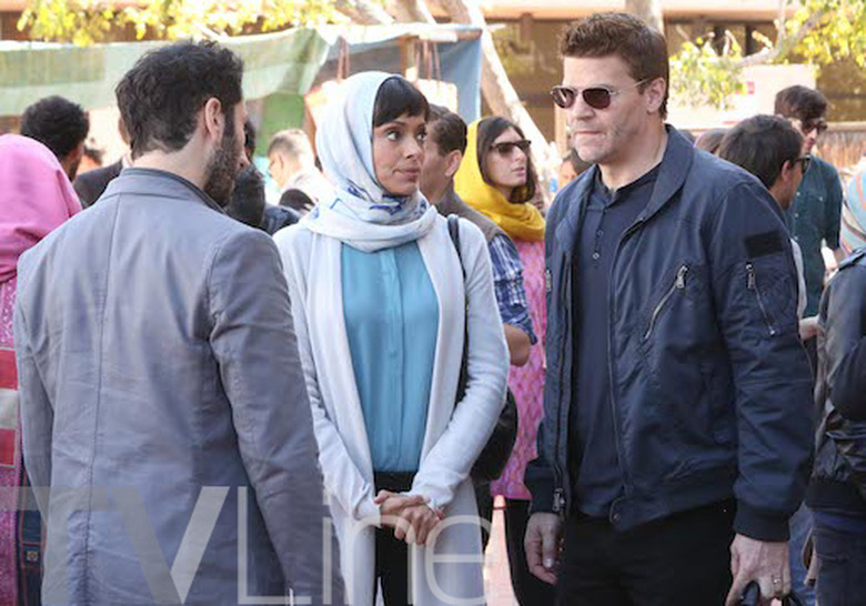 finale-preview-bones