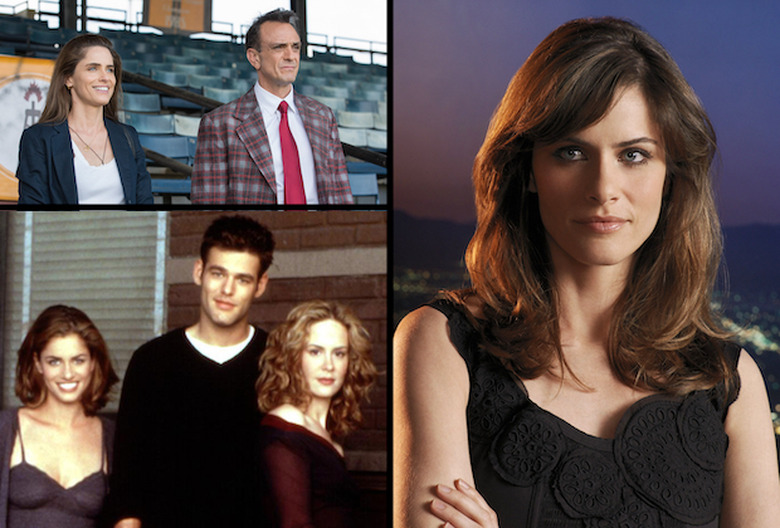 Amanda Peet TV Roles