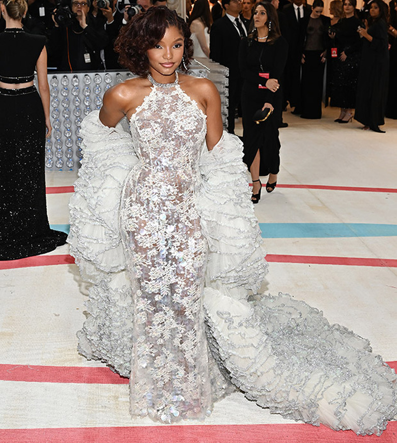 Met Gala Looks 2023
