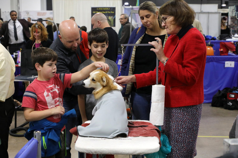 National Dog Show 2019