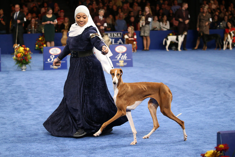 National Dog Show 2019